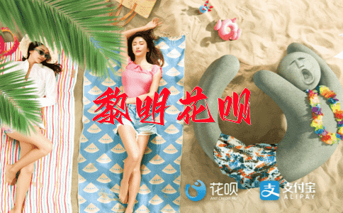 灵活机敏花呗